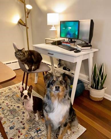Stay-At-Home Stories